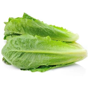 Cos Lettuce - baby - 2pk